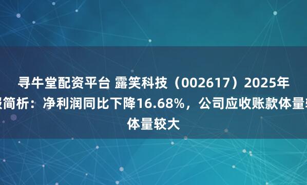 寻牛堂配资平台 露笑科技（002617）2025年中报简析：净利润同比下降16.68%，公司应收账款体量较大