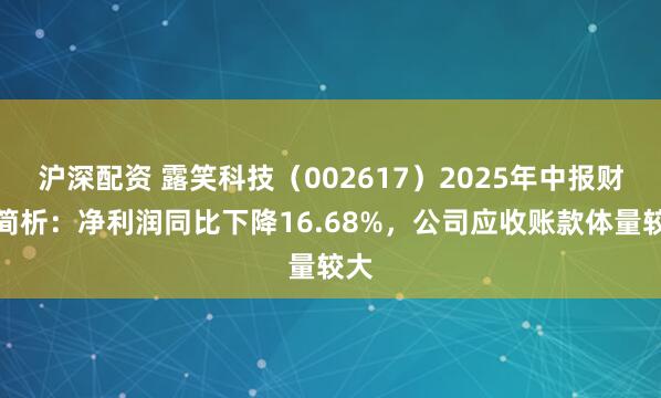 沪深配资 露笑科技（002617）2025年中报财务简析：净利润同比下降16.68%，公司应收账款体量较大