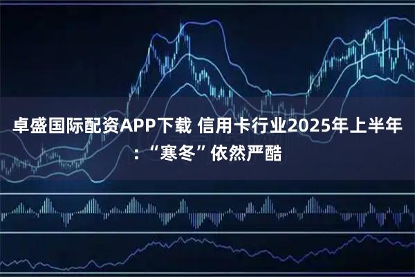 卓盛国际配资APP下载 信用卡行业2025年上半年: “寒冬”依然严酷